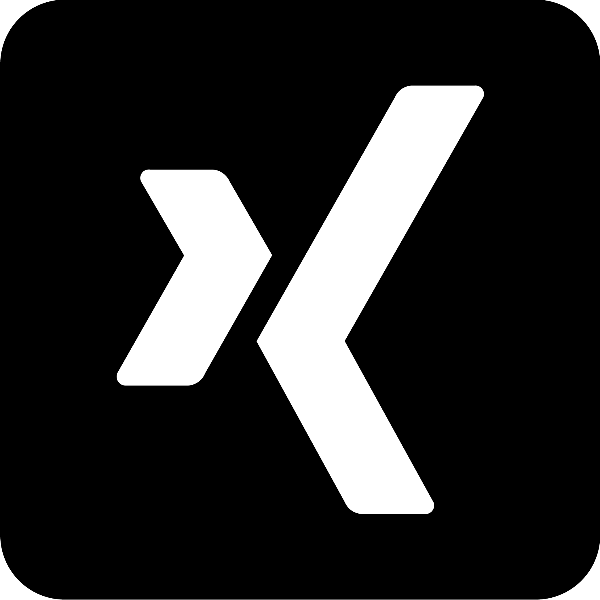 Xing Icon